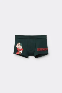 Chłopiec>Intimissimi Bokserki Chłopięce z Bawełny Superior ©Disney Gburek zielony - 132j - verde scuro