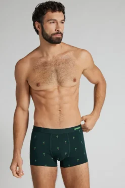 Bokserki|Bawełna Superior>Intimissimi Bokserki z Bawełny Superior w Nadruk Palm zielony - 132j - verde scuro