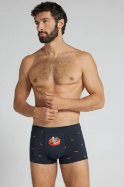 Bokserki|Bawełna Superior>Intimissimi Bokserki z Bawełny Superior z Nadrukiem w Jamniki niebieski - 1467 - intensywny niebieski