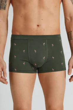 Bokserki|Bawełna Superior>Intimissimi Bokserki z Bawełny Superior z Nadrukiem we Flamingi zielony - 165k - verde salvia