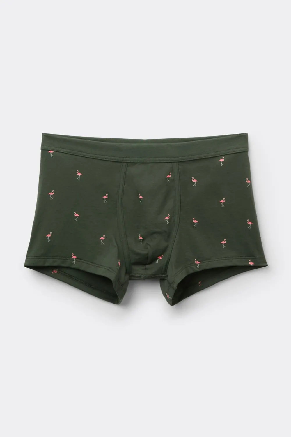 Bokserki|Bawełna Superior>Intimissimi Bokserki z Bawełny Superior z Nadrukiem we Flamingi zielony - 165k - verde salvia