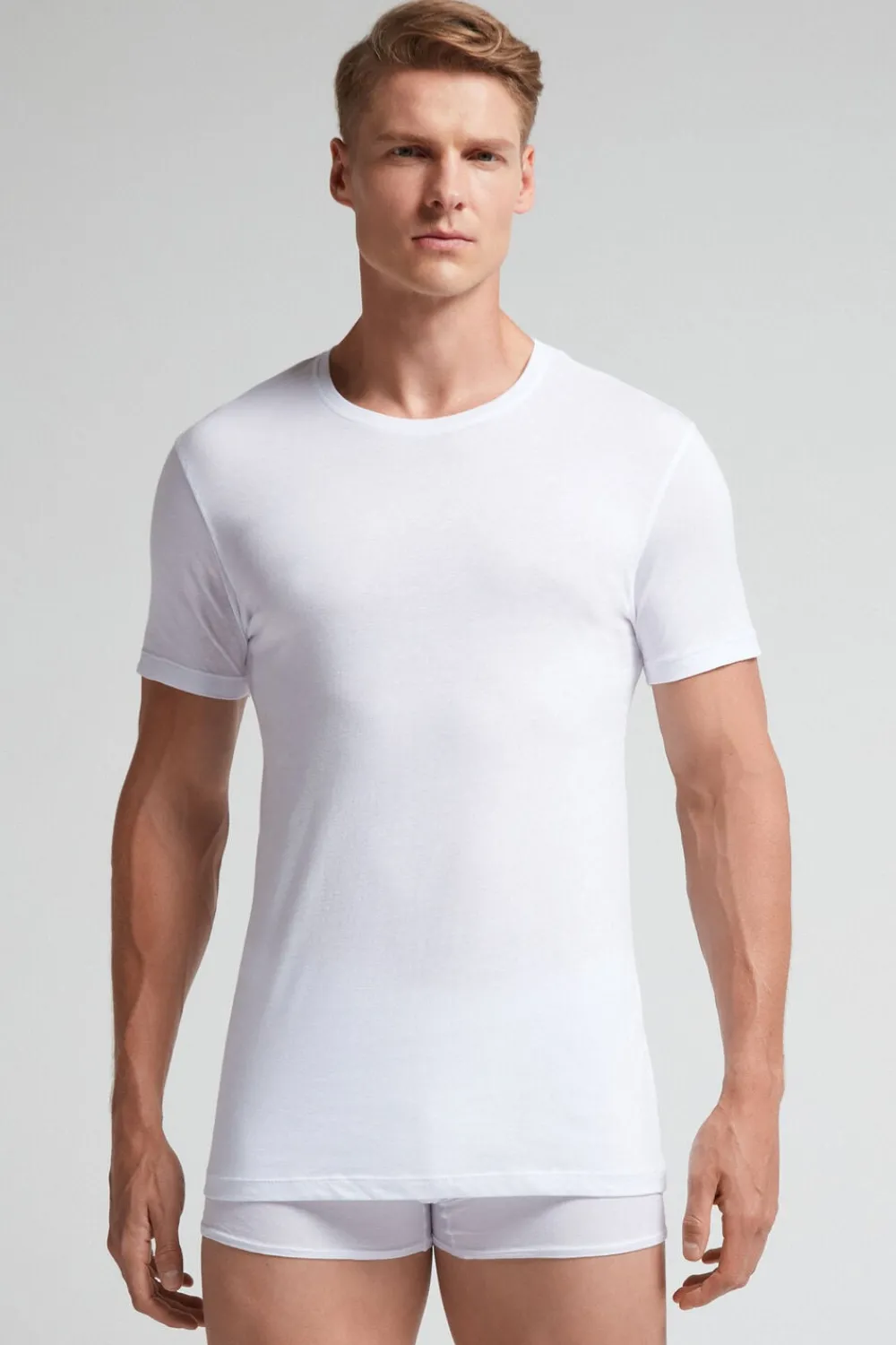 T-shirty|Bawełna Superior>Intimissimi Koszulka Męska 100% Bawełna Superior Extrafine biały - 001 - biały