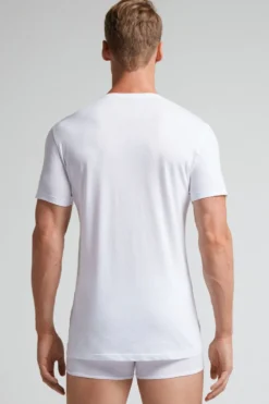 T-shirty|Bawełna Superior><noscript><img width=