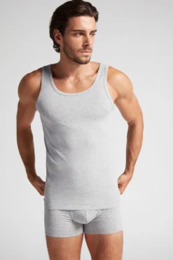 Podkoszulki|Bawełna Superior>Intimissimi Koszulka z Elastycznej Bawełny Superior szary - 031 - grigio melange chiaro