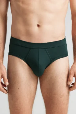 Slipy|Merceryzowana Bawełna Filo Premium>Intimissimi Slipy z Bawełny Merceryzowanej filo Premium zielony - 132j - verde scuro