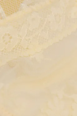 Stringi><noscript><img width=