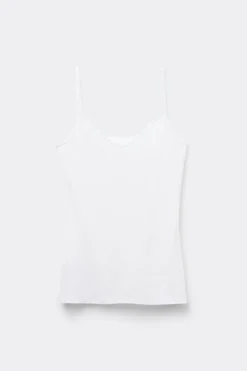 Topy|Modal><noscript><img width=