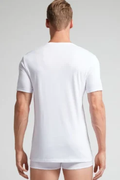 T-shirty|Bawełna Superior><noscript><img width=
