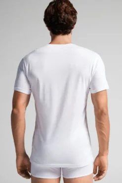 T-shirty|Bawełna Superior><noscript><img width=