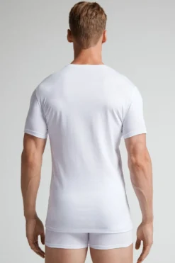 T-shirty|Bawełna Superior><noscript><img width=