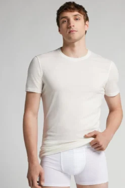 T-shirty|Wełna Merino>Intimissimi T-shirt z Krótkim Rękawem z Wełny Merino biały - 760j - bianco lana